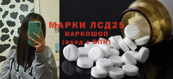 spice Алзамай